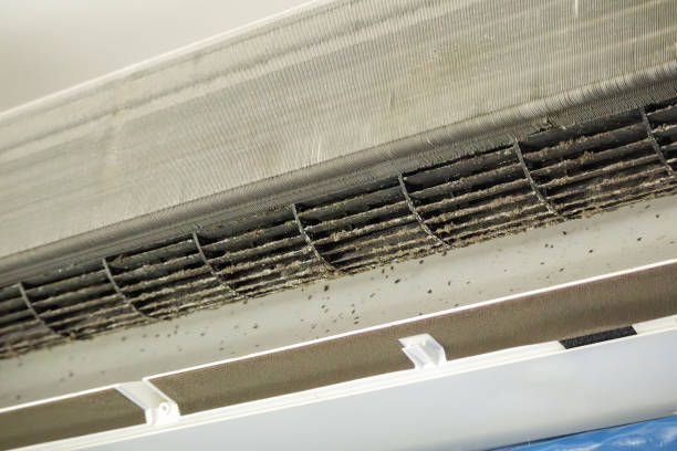 Best Professional Duct Cleaning Services  in Fillmore, CA